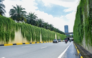 Góc nhìn 365: Cây xanh trên đại lộ