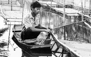 Cuộc đời sau ống kính: Triệu phú ốc bươu vàng - 'startup' 30 năm trước