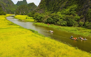 7 tháng năm 2022: Khách quốc tế đến Việt Nam tăng gấp 10 lần