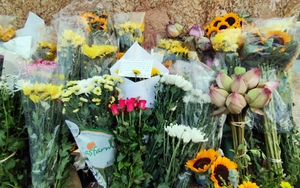 Chào tuần mới: Thiết thực tri ân