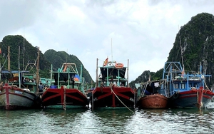 Bão số 2: Quảng Ninh dừng các cuộc họp không cần thiết, Nam Định cấm biển từ 17 giờ 10/8