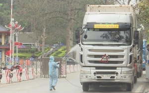 Bộ Y tế: Hướng dẫn tạm thời giám sát và phòng, chống bệnh đậu mùa khỉ