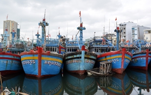 Theo dõi chặt chẽ diễn biến bão số 6 để chủ động ứng phó