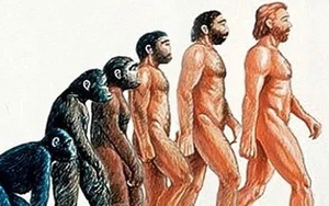 Tổ tiên lâu đời nhất của loài người đã đứng thẳng và đi bằng hai chân cách đây 7 triệu năm