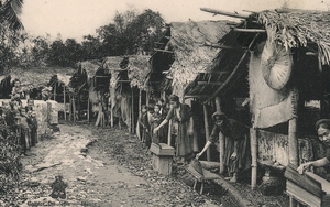 Mọt sách, mọt sử, mọt phim: 'Làm giấy cho người chép thơ'