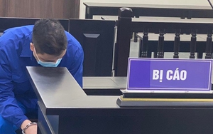 Đối tượng dùng gạch làm hung khí cướp ô tô tại Vincom Bà Triệu, Hà Nội lĩnh án