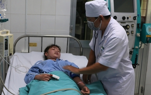 Cả nước trên 211.000 ca sốt xuất huyết, người dân cần chủ động diệt bọ gậy lăng quăng