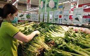 Thư gửi robot citizen: Món ăn sạch