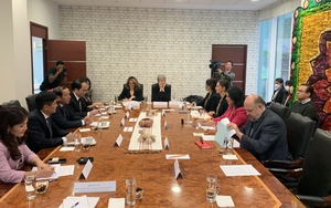 Văn hóa nghệ thuật là động lực thúc đẩy quan hệ Việt Nam-Mexico