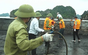 Vụ nuôi trồng thủy sản trái phép trên Vịnh Bái Tử Long: Khai trừ Đảng 4 cán bộ nhận hối lộ