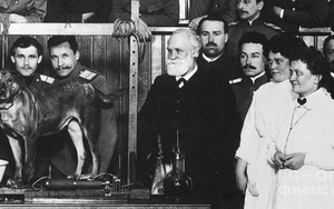 Công bố chủ nhân giải thưởng Đột phá - Oscar khoa học của nước Mỹ