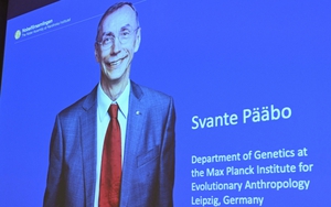 Giải Nobel Y sinh 2022 tôn vinh cách tiếp cận mới trong nghiên cứu về tiến hóa của loài người