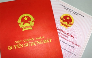 Quảng Bình: Đề nghị kỷ luật nghiêm minh hiệu trưởng cầm cố sổ đỏ của trường