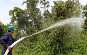 Tuổi trẻ Kiên Giang sáng tạo, xung kích, phát triển kinh tế, xây dựng nông thôn mới