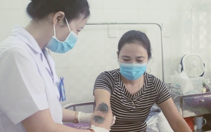 Hà Nội: Số người viêm da nặng do tiếp xúc với kiến ba khoang tăng mạnh