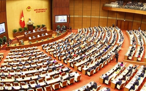 Kỳ họp thứ 4, Quốc hội khóa XV: Thảo luận về cấp quyền lựa chọn sử dụng biển số ô tô thông qua đấu giá