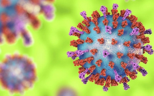 CDC Mỹ cảnh báo số trẻ em nhiễm virus RSV tăng vọt