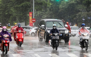 Khu vực từ Quảng Bình đến Quảng Ngãi mưa giảm dần trong ngày 23/10