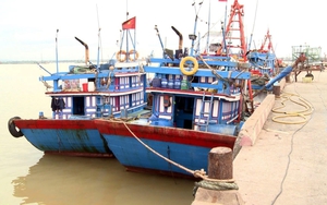 Bộ Giao thông Vận tải: Không cấp phép tàu thuyền đi vào vùng nguy hiểm bão số 7