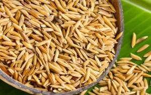 Nhà khoa học Việt Nam tìm ra hợp chất quý từ vỏ trấu