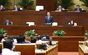 Xem xét đưa mức xử phạt cao hơn để ngăn chặn tin giả