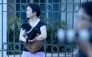 Vợ khuyên HLV Park Hang Seo đến Việt Nam, HAGL tổn thất lực lượng trước vòng 10 V-League