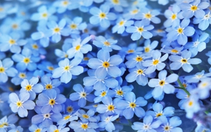 Tử vi tháng 12/2021 của cung Song Tử: Đừng chần chừ nếu không Song Tử sẽ lỡ việc