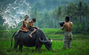 Dự đoán ngày 29/11/2021 cho 12 con giáp: Sửu được quý nhân phù trợ, Mão suy nghĩ kỹ trước khi bỏ tiền