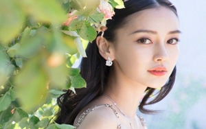 Dự đoán ngày 18/12/2021 của 12 con giáp: Hợi bị đồng nghiệp cướp công, Dần vượt mọi thách thức