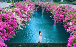 Tử vi ngày 23/12/2021 của cung hoàng đạo: Sư Tử vướng quan hệ sai trái, Bọ Cạp cố chấp gây hoạ