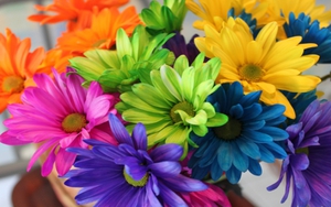 Tử vi ngày 1/1/2022 của cung hoàng đạo: Bọ Cạp bất an, bài học của Song Ngư