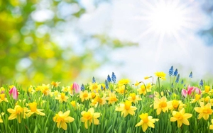 Tử vi ngày 16/12/2021 của cung hoàng đạo: Song Ngư phải cảnh giác cao độ, Bạch Dương quá tàn nhẫn