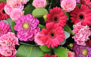 Tử vi ngày 15/1/2022 của cung hoàng đạo: Kim Ngưu nông cạn, Xử Nữ gặp quý nhân