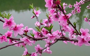 Tử vi ngày 20/1/2022 của cung hoàng đạo: Bạch Dương gay gắt tranh cãi, Sư Tử thấy tội lỗi