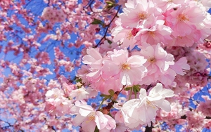 Tử vi ngày 10/1/2022 của cung hoàng đạo: Nhân Mã ích kỷ, Sử Tử phải nhận chỉ trích