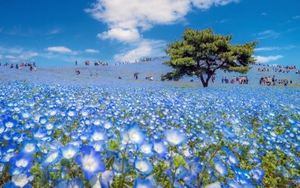 Tử vi ngày 12/1/2022 của cung hoàng đạo: Nhân Mã thất bại, Xử Nữ bị xa lánh