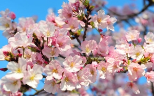 Tử vi ngày 13/1/2022 của cung hoàng đạo: Bọ Cạp rủng rỉnh tiền, Song Ngư biến thù thành bạn