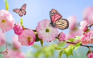 Tử vi mùng Một Tết của cung hoàng đạo: Song Tử thành tâm điểm, Kim Ngưu gặp người bất ngờ