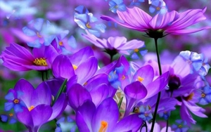 Tử vi ngày 3/1/2022 của 12 cung hoàng đạo: Cự Giải đừng tham bát bỏ mâm, Ma Kết là ngôi sao sáng