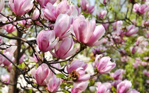 Ngày 12/2/2022 của cung hoàng đạo: Song Tử bị mưu hại, Bọ Cạp đừng nói xấu ai