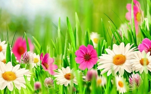 Tử vi ngày 7/2/2022 của cung hoàng đạo: Song Tử kiên cường, Bạch Dương được sếp ghi nhận