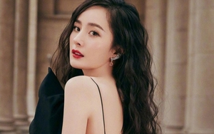 Dự đoán ngày 26/3/2022 của 12 con giáp: Tuất mâu thuẫn đồng nghiệp, Dần kiên trì để thành công