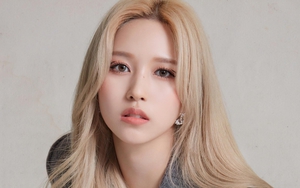 Dự đoán ngày 6/3/2022 của 12 con giáp: Tuất thăng chức, Dần vượng phát