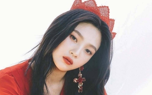 Dự đoán ngày 7/3/2022 của 12 con giáp: Tý mâu thuẫn với sếp, Mùi quá cực đoan