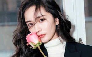 Dự đoán ngày 5/7/2022 của 12 con giáp: Dậu khi yêu đừng quan trọng đúng sai, Tuất bị ghen tị