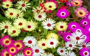 Ngày 8/12/2021 của cung hoàng đạo: Song Tử đối diện sai lầm đã giấu kín