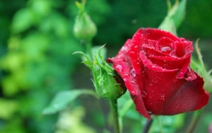 Tử vi ngày 7/12/2021 của cung hoàng đạo: Bảo Bình đừng làm quá mọi việc