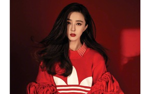 Phạm Băng Băng trở lại: Vụ tranh chấp thuế đã đi tới hồi kết?