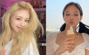 Gọi tên 6 nữ idol mang phong thái ong chúa" high-teen