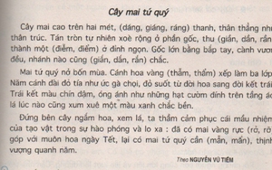 Nguyễn Vũ Tiềm: Chỉ viết khi thương nhớ thanh hình